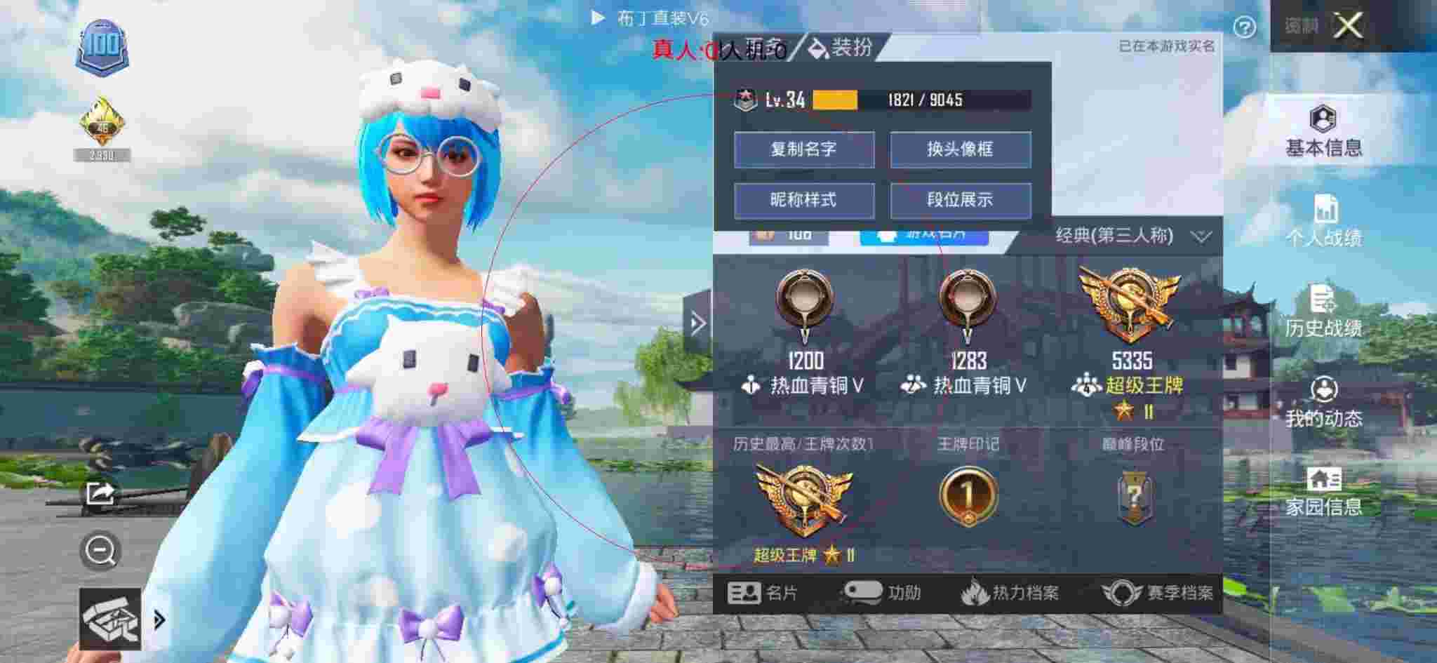 和平精英布丁直装透视 - 王者兑换卡系列皮肤辅助预览图